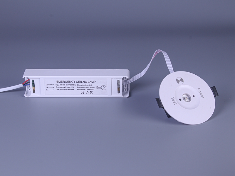 Emergency Ceiling Lamp